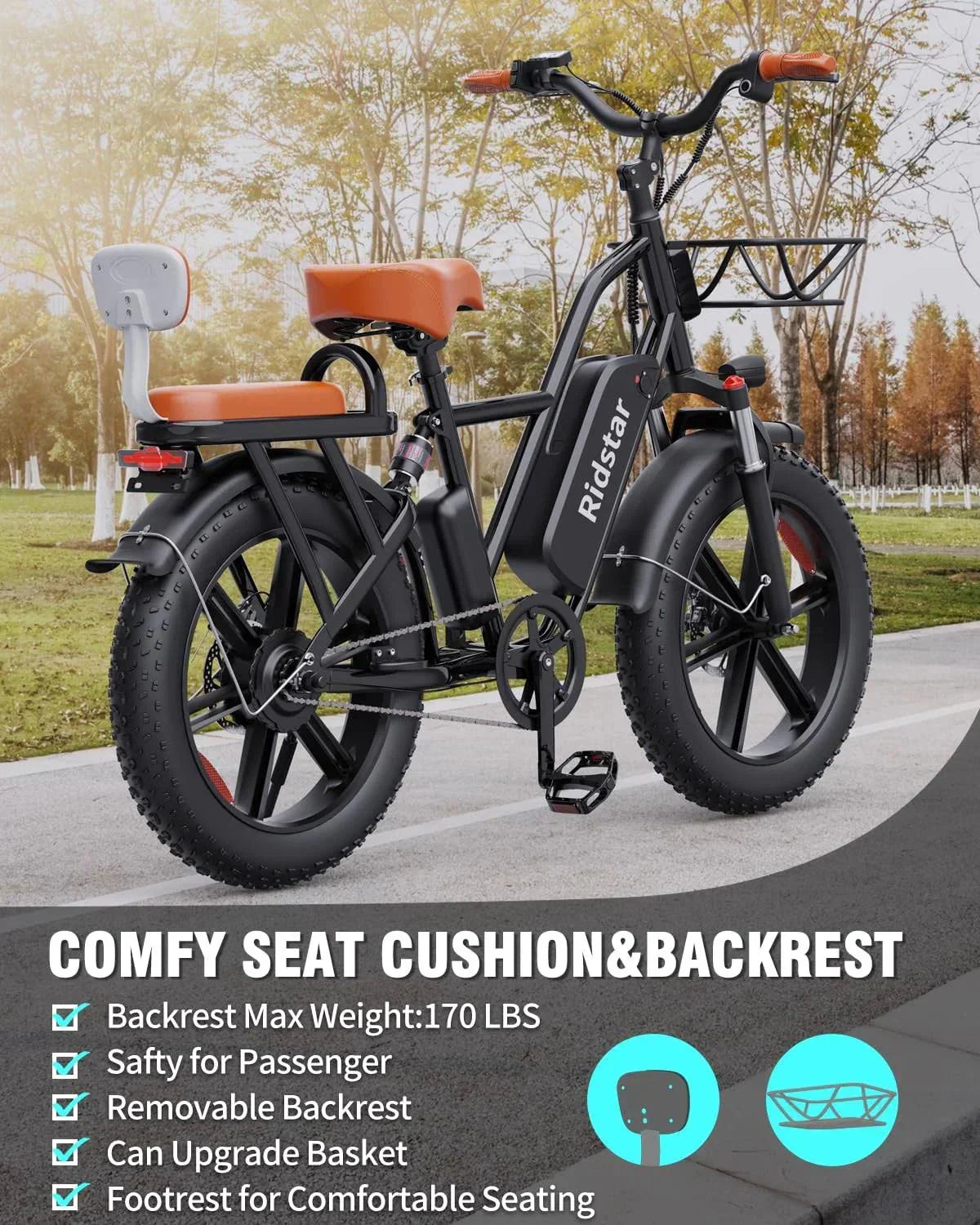 Bopzin Adult Electric Bicycle 1000W, 48V 15Ah Battery, 20 in x 4.0 in - FM001