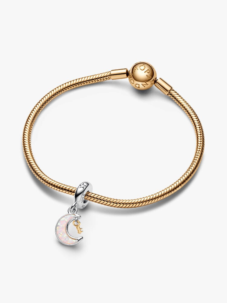 Two-tone Key & Moon Dangle Charm