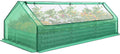 Galvanized Steel Raised Garden Bed With PVC Cover, 8 x 4 x 1 ft - Clear