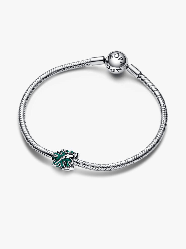 Green Monstera Leaves Charm