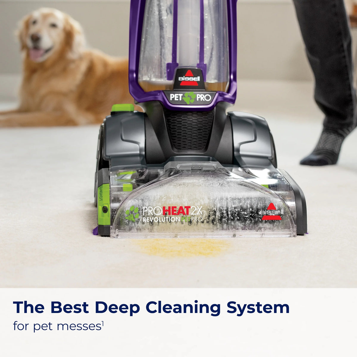 BISSELL ProHeat 2X Revolution Pet Pro Upright Carpet Cleaner, Purple - 3586