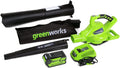 GreenWorks Cordless Leaf Blower/Vacuum, 40V 185 MPH, 4.0Ah Battery And Charger Included - 24322