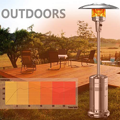 NIC Outdoor Patio Propane Heater 2 Set 48,000-BTU Stainless Steel Silver
