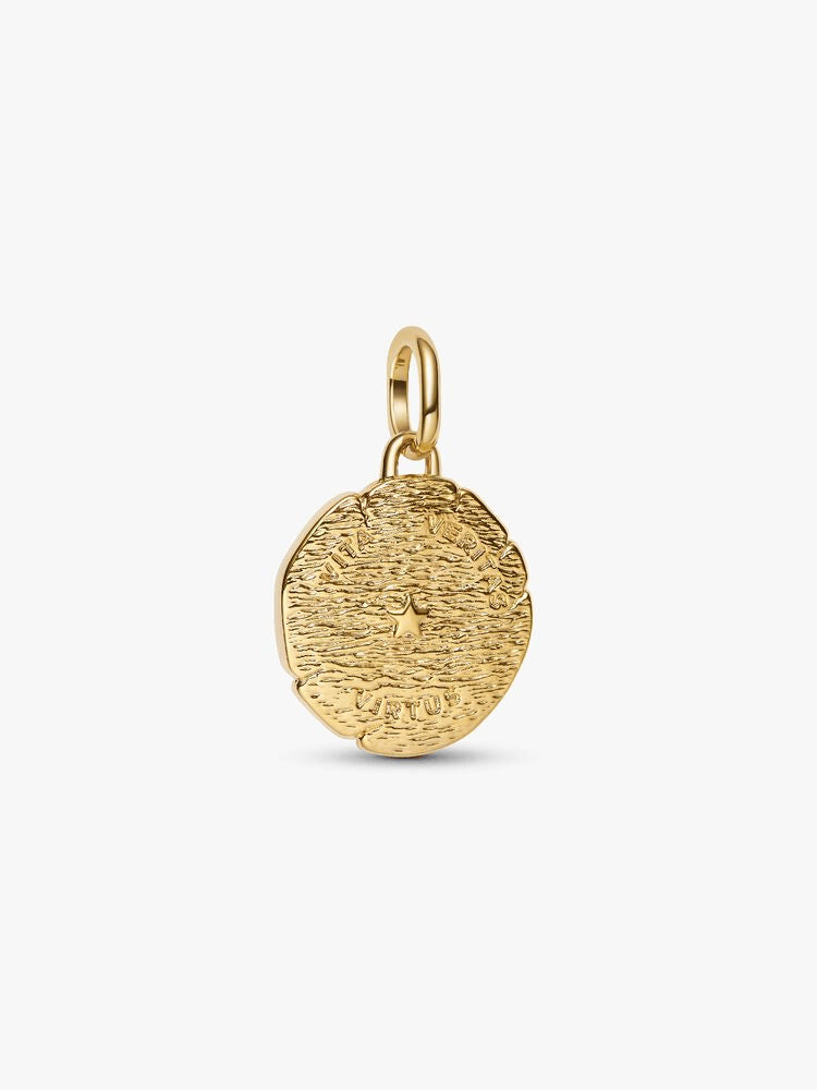 Lion Medallion Charm