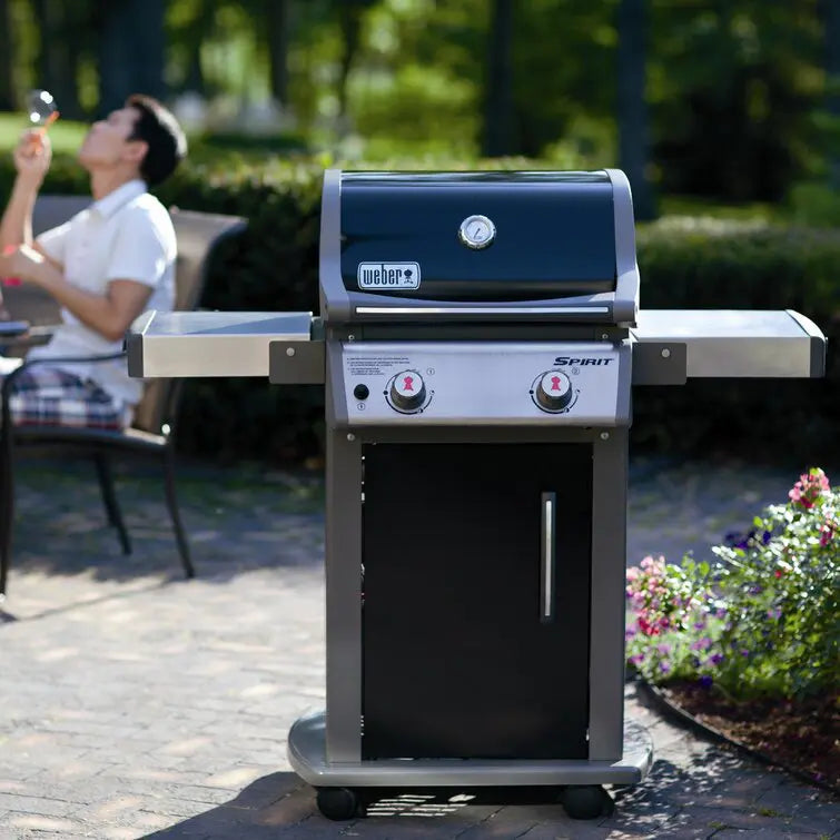 Weber 2-Burner Propane Gas Grill With Cabinet - E-210