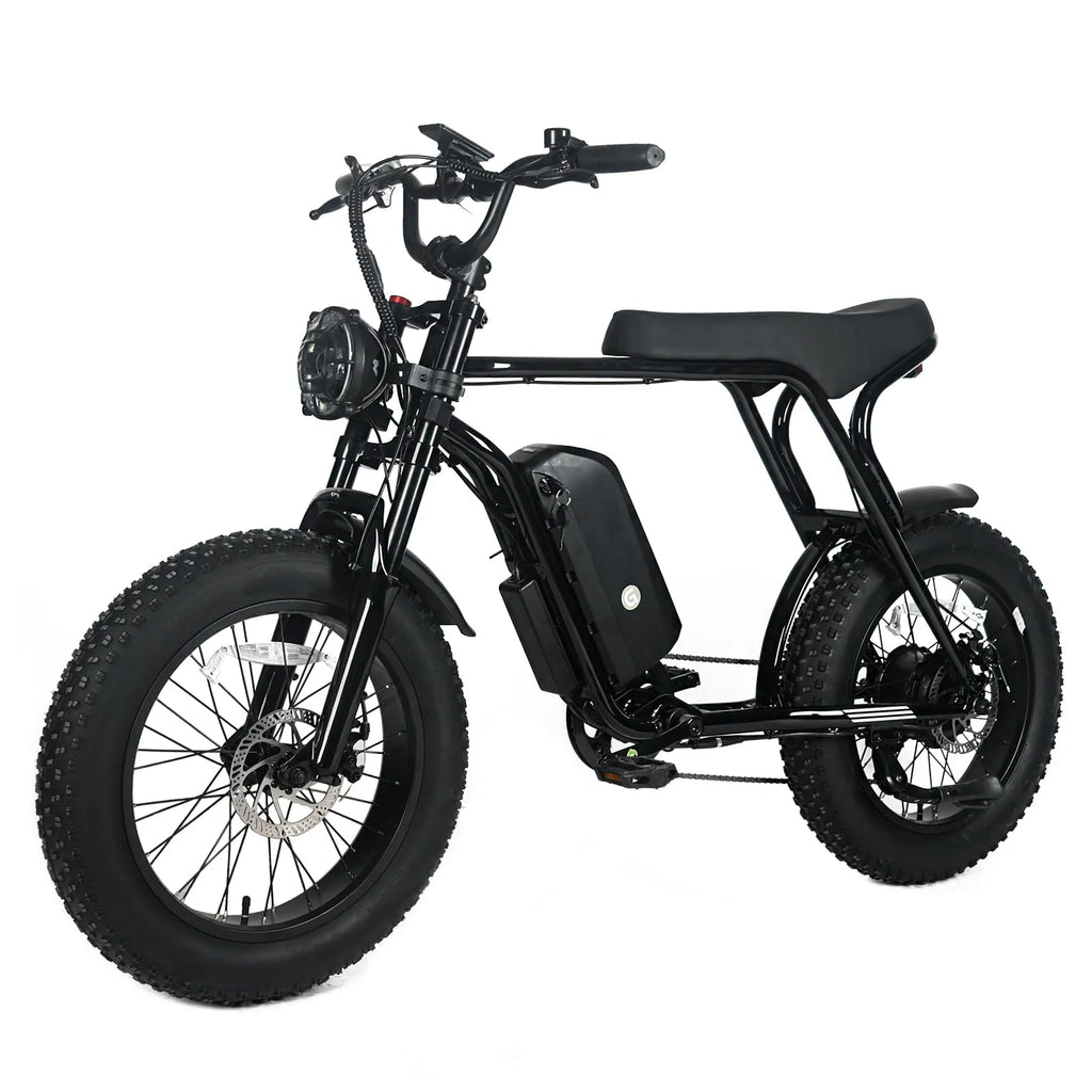 Electric Mountain Bike For Adults With 20 x 4.0 Fat Tires, 1000W Motor, 48V 20Ah Removable Battery, 45MPH Speed, 7-Speed