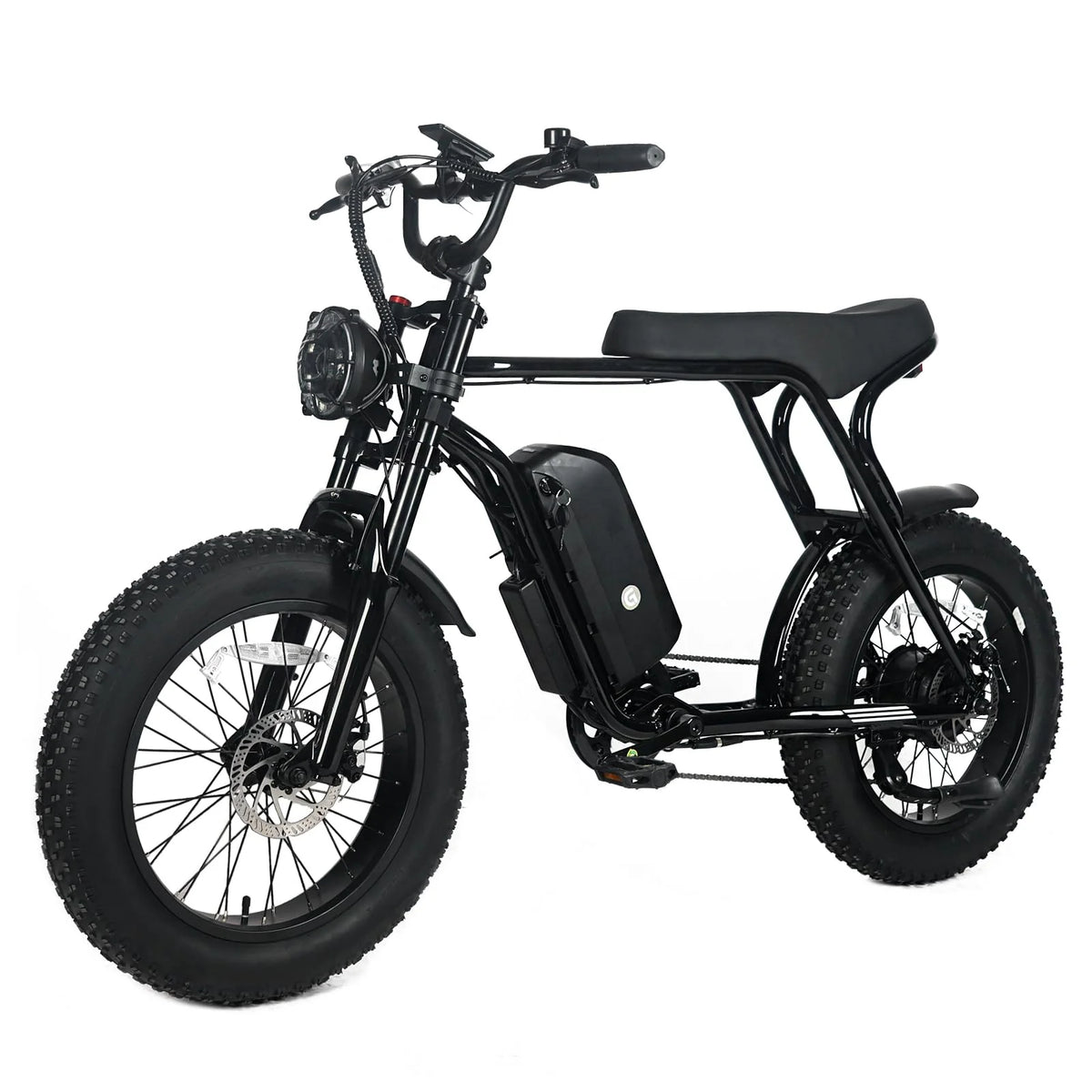 Electric Mountain Bike For Adults With 20 x 4.0 Fat Tires, 1000W Motor, 48V 20Ah Removable Battery, 45MPH Speed, 7-Speed