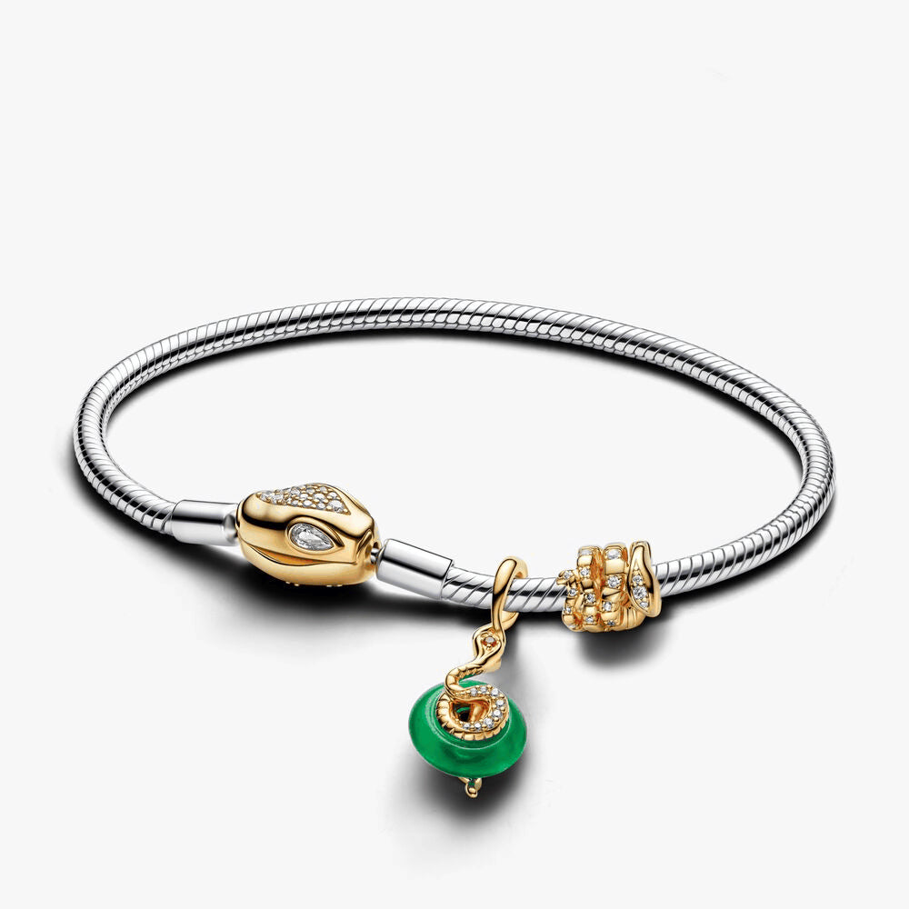 Lunar New Year Snake Clasp & Chain Charm Bracelet Set