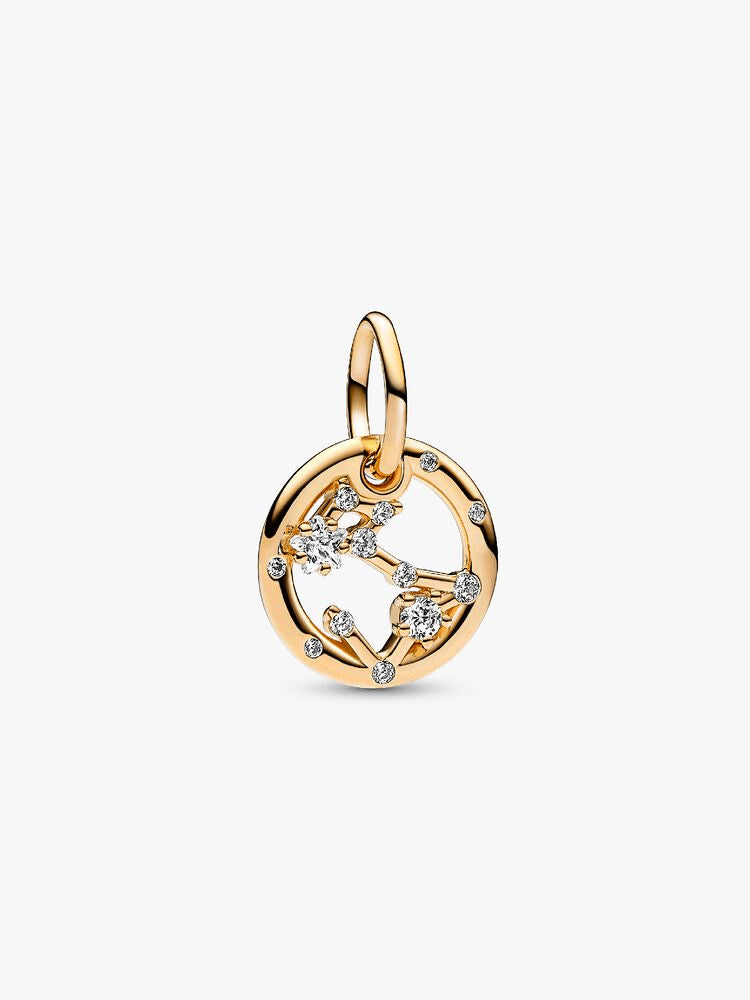 Pisces Zodiac Dangle Charm Bracelet Set