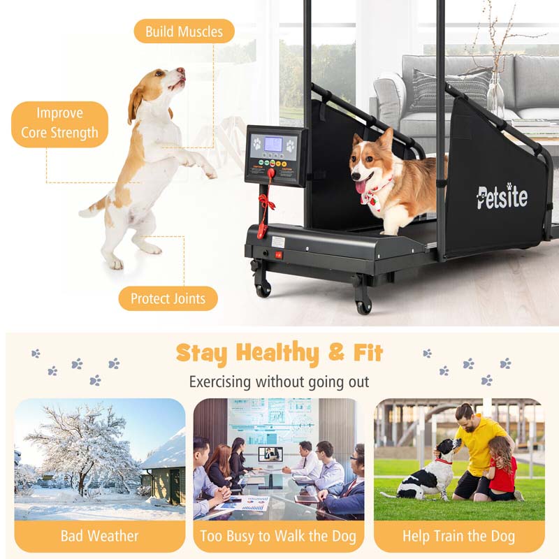 Dog Treadmill Pet Running Machine, 200 lbs Capacity, 1.4 inch LCD Screen - Black