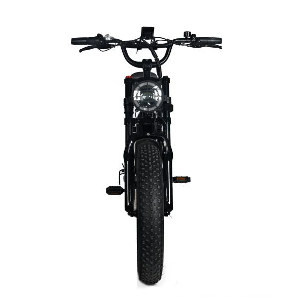 Electric Mountain Bike For Adults With 20 x 4.0 Fat Tires, 1000W Motor, 48V 20Ah Removable Battery, 45MPH Speed, 7-Speed