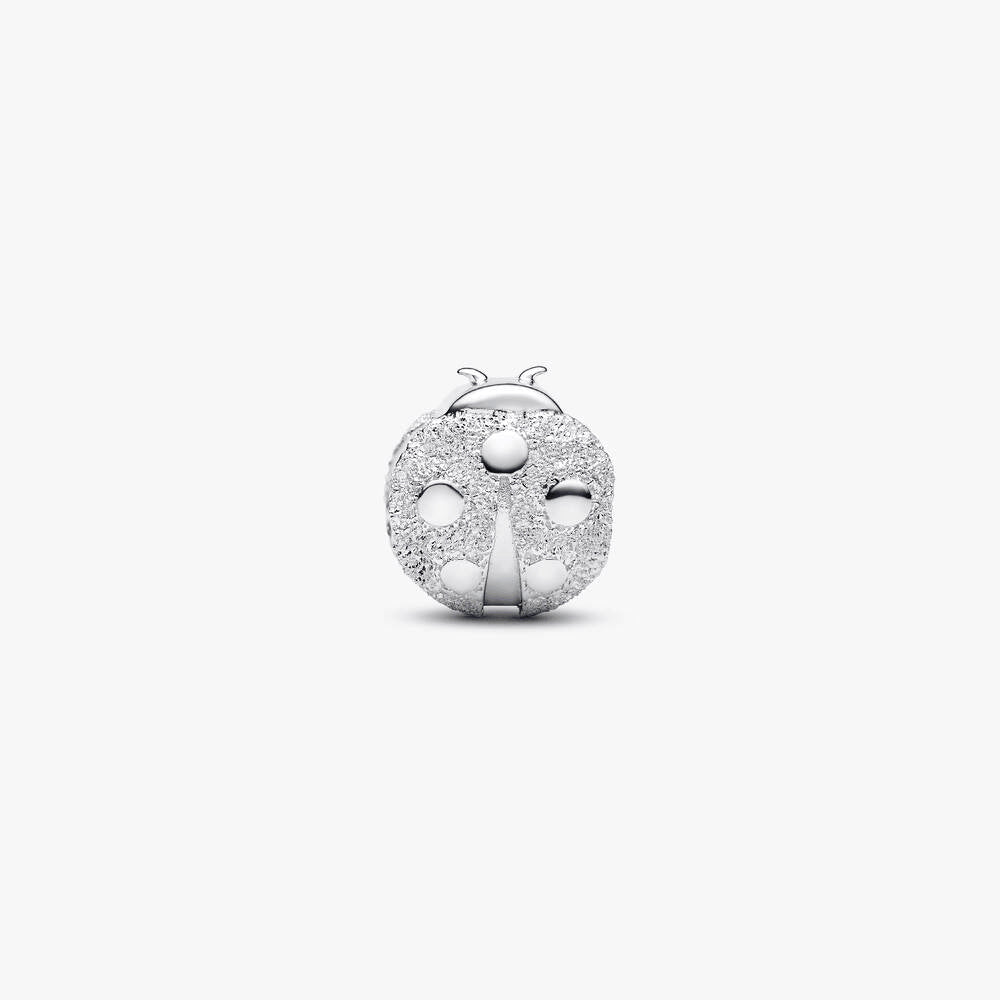 Textured Ladybird Mini Charm