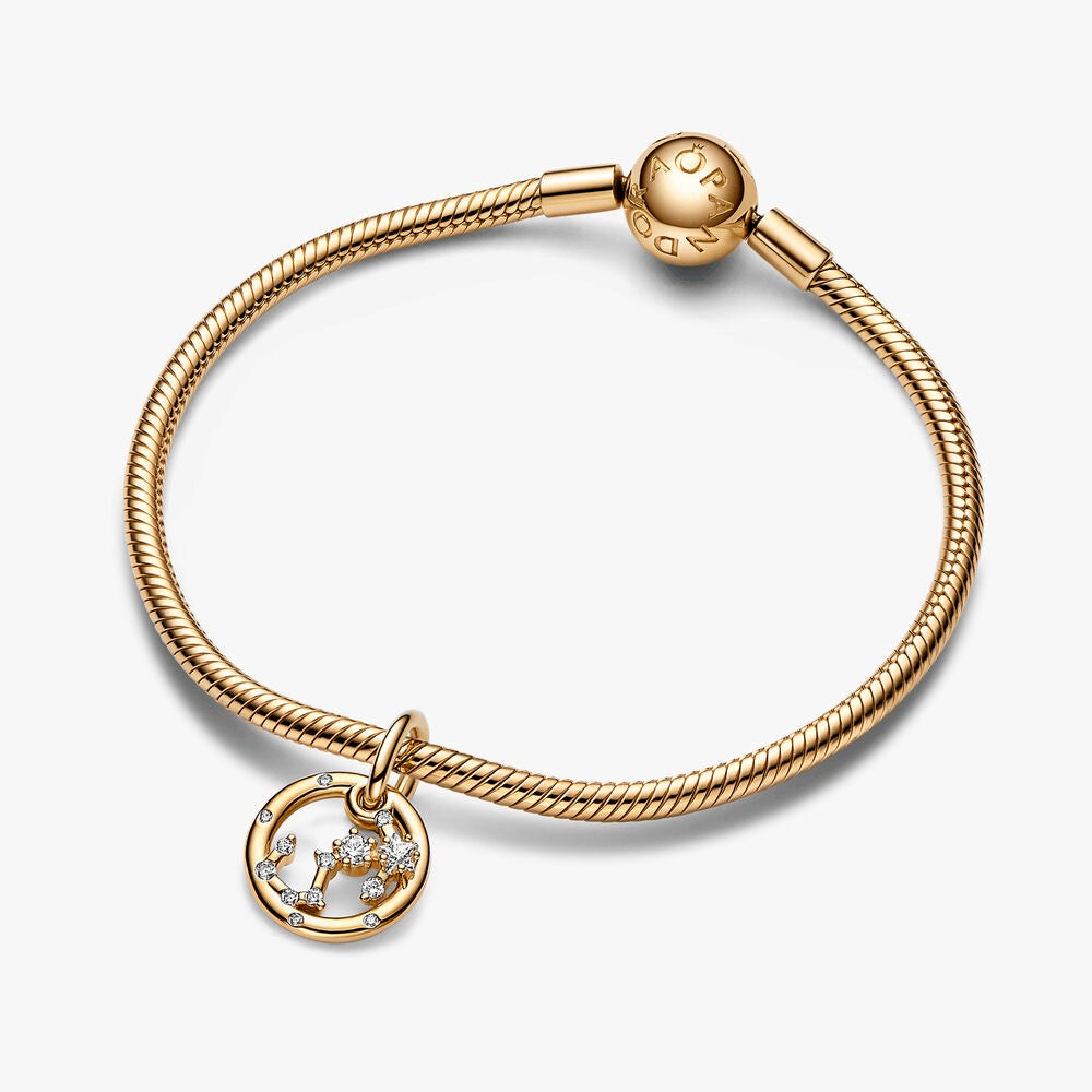 Scorpio Zodiac Dangle Charm Bracelet Set