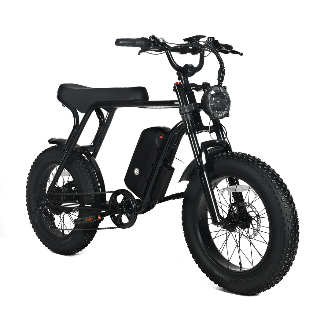 Electric Mountain Bike For Adults With 20 x 4.0 Fat Tires, 1000W Motor, 48V 20Ah Removable Battery, 45MPH Speed, 7-Speed