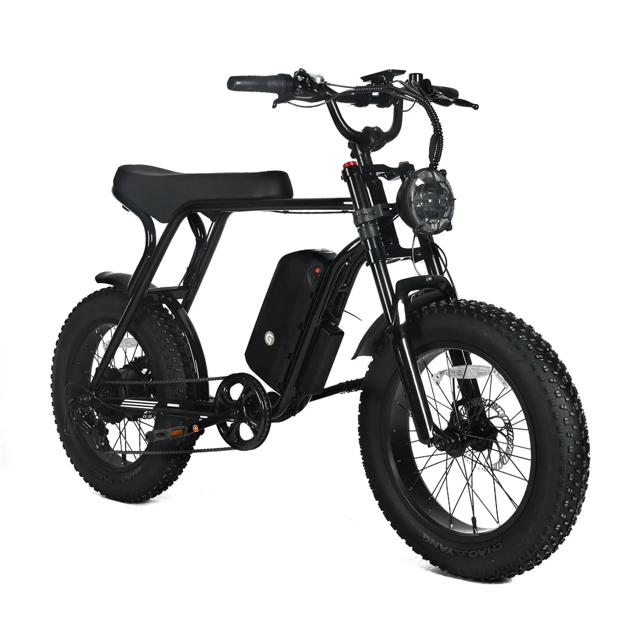Electric Mountain Bike For Adults With 20 x 4.0 Fat Tires, 1000W Motor, 48V 20Ah Removable Battery, 45MPH Speed, 7-Speed