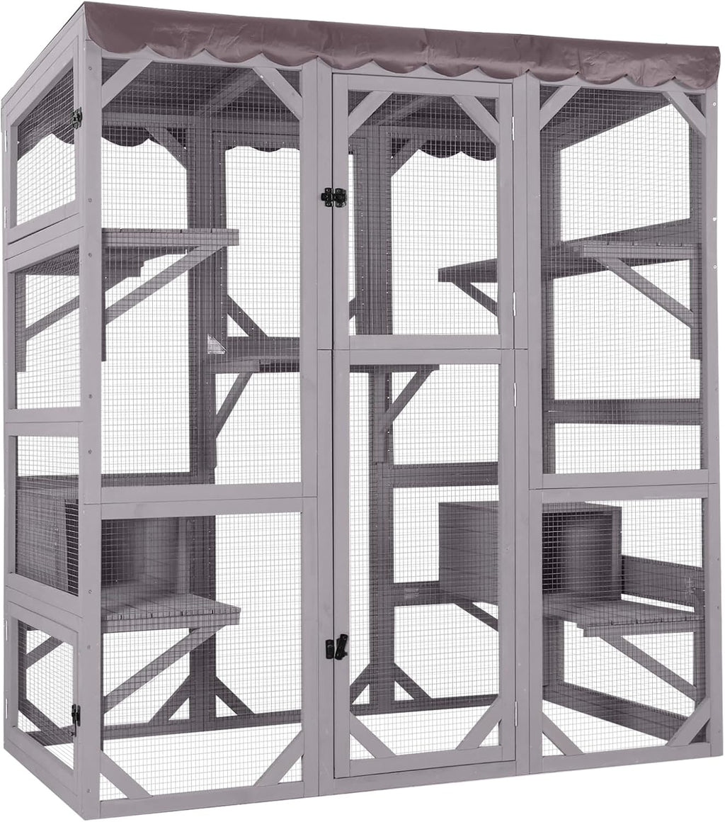 Large Walk-In Outdoor Cat Enclosure With 7 Platforms
