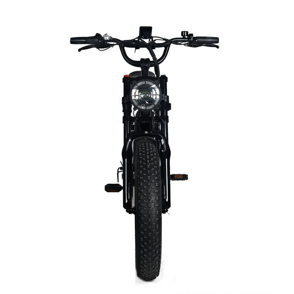 Electric Mountain Bike For Adults With 20 x 4.0 Fat Tires, 1000W Motor, 48V 20Ah Removable Battery, 45MPH Speed, 7-Speed