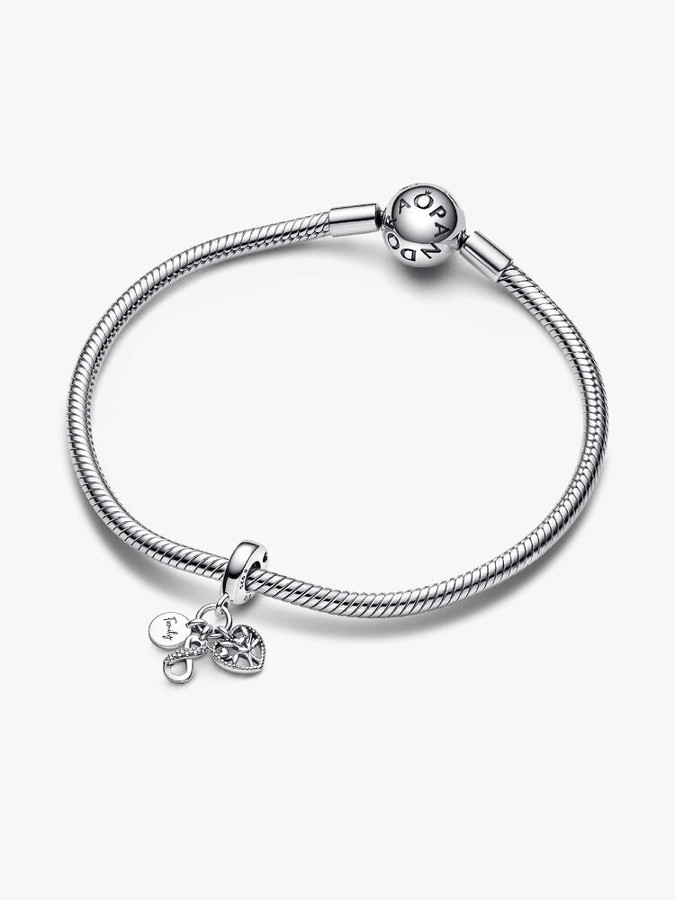 Family Infinity Triple Dangle Charm