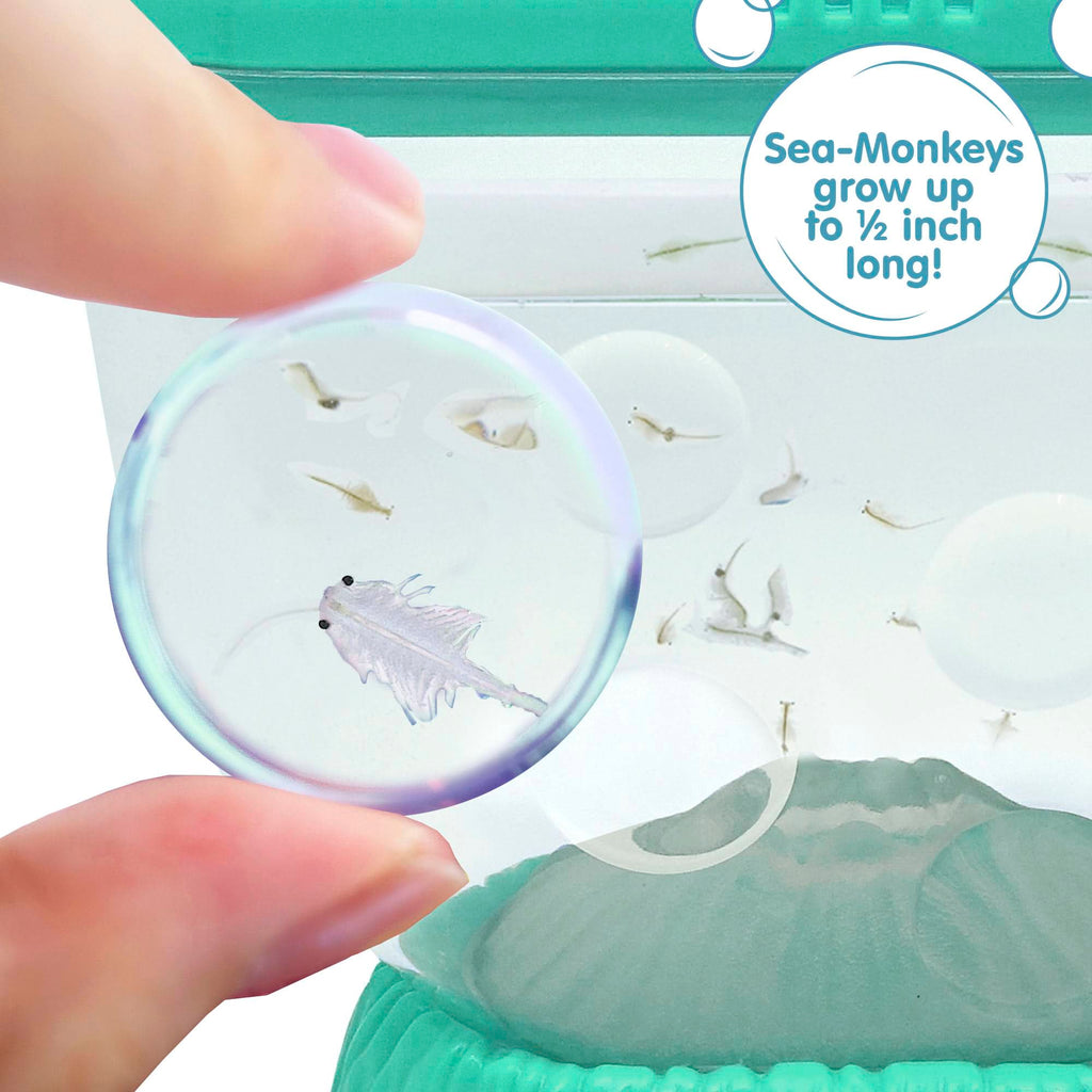 Sea-Monkeys Ocean Volcano