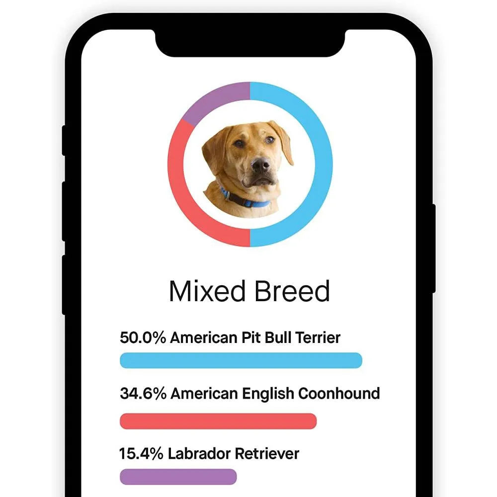 Embark Dog DNA Test Breed Identification Kit