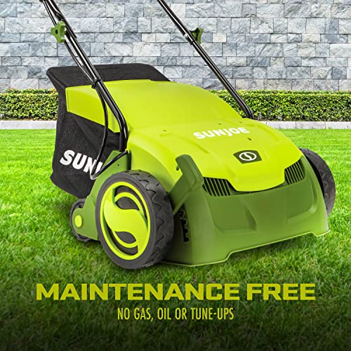 12-Amp 13-Inch Electric Dethatcher And Scarifier With Removable 8-Gallon Collection Bag