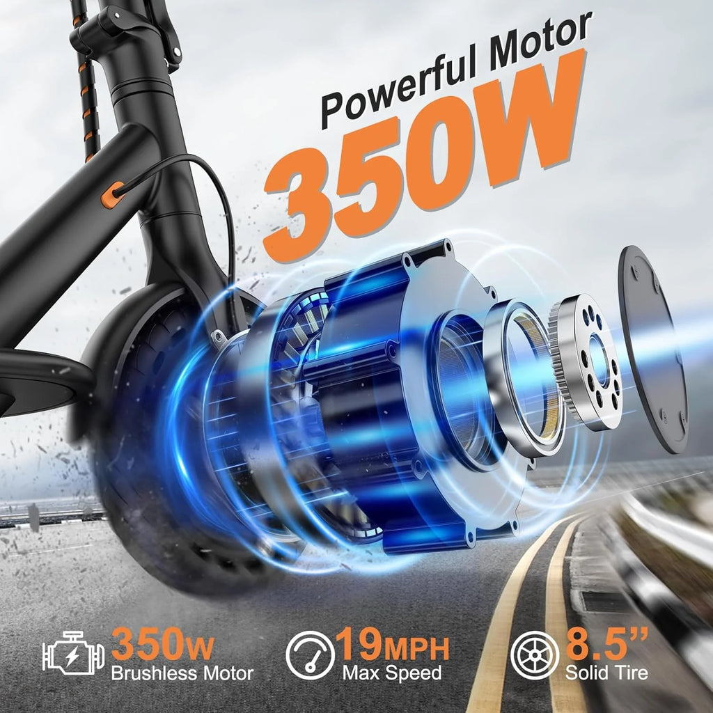 Electric Scooter With Solid Tires And Dual Braking - 350W/500W