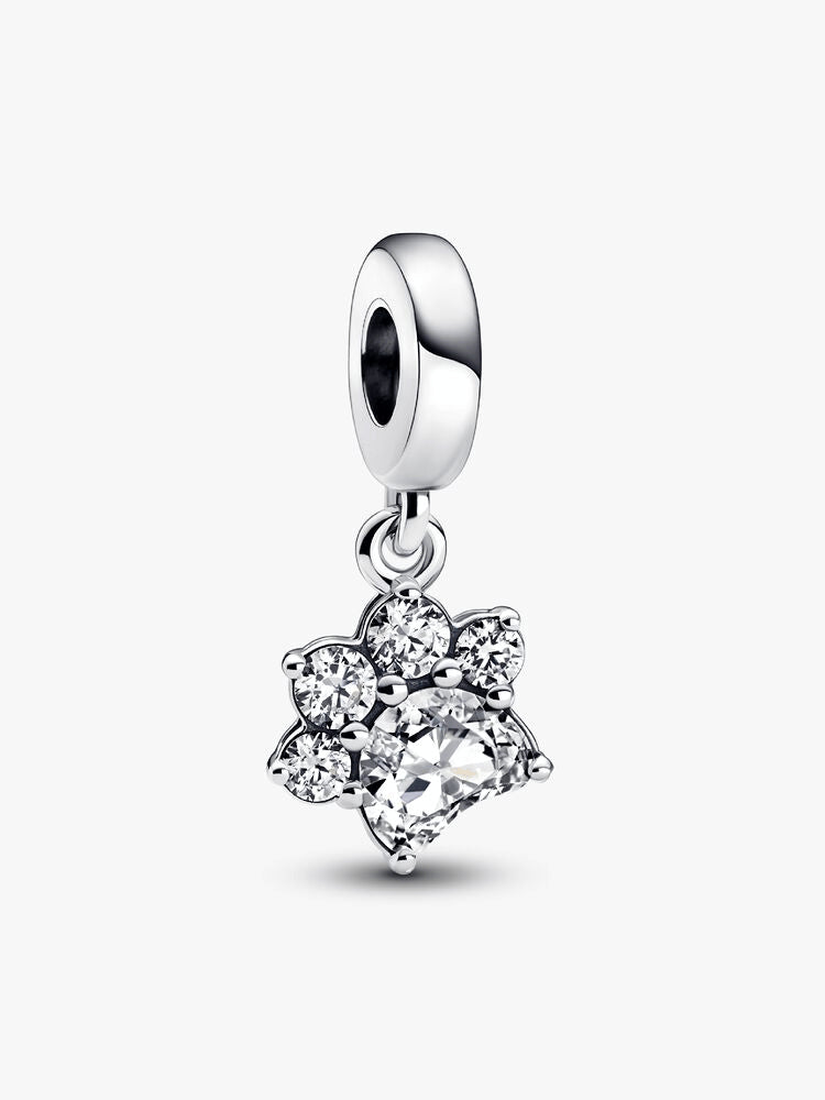 Sparkling Pet Paw Print Dangle Charm