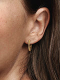 Pandora Moments Small Charm Hoop Earrings