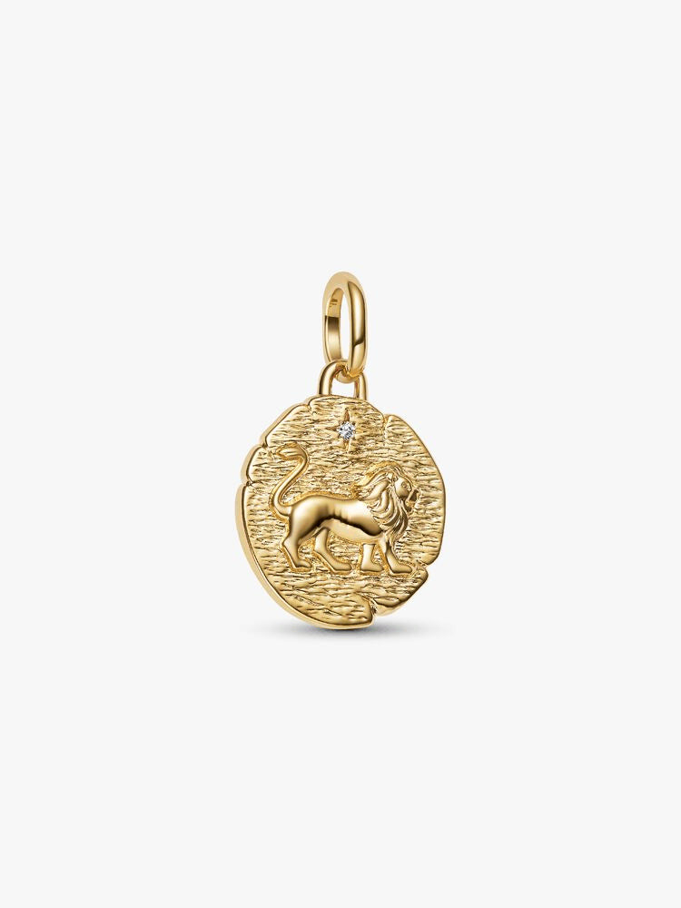 Lion Medallion Charms Earrings
