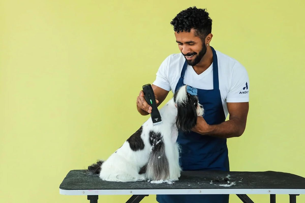 Andis Pulse Zr II 5-Speed Cordless Animal Clipper With Detachable Blade And Removable Lithium Ion Battery - 79170