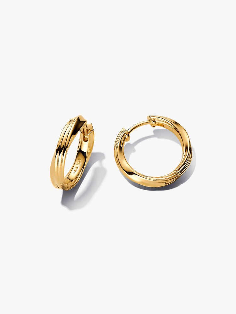 Twisted Hoop Earrings