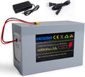 72V 60Ah Lithium E-Bike Battery With LED Battery Level Indicator And XT90 Connector