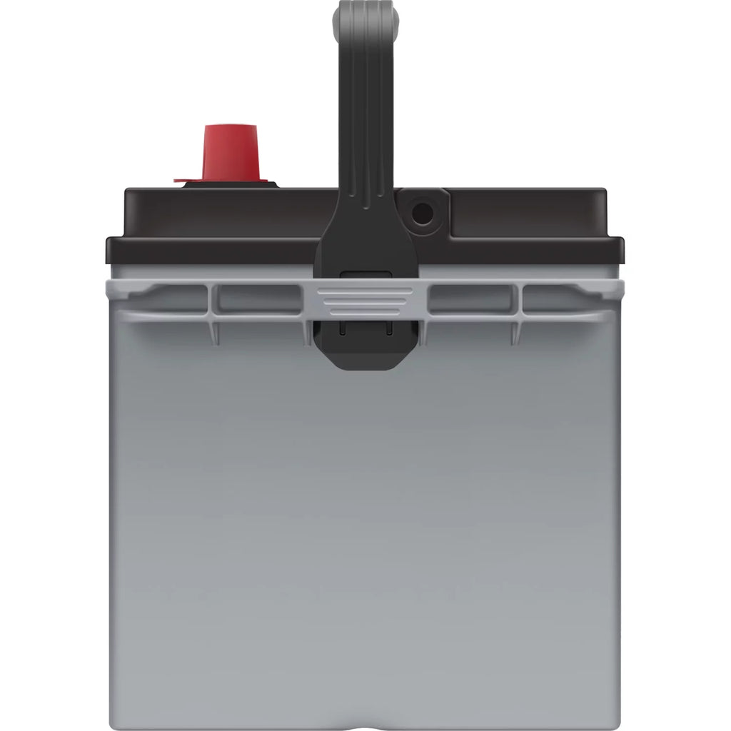 EverStart Platinum AGM Automotive Battery, Group Size 24F, 12 Volt, 750 CCA