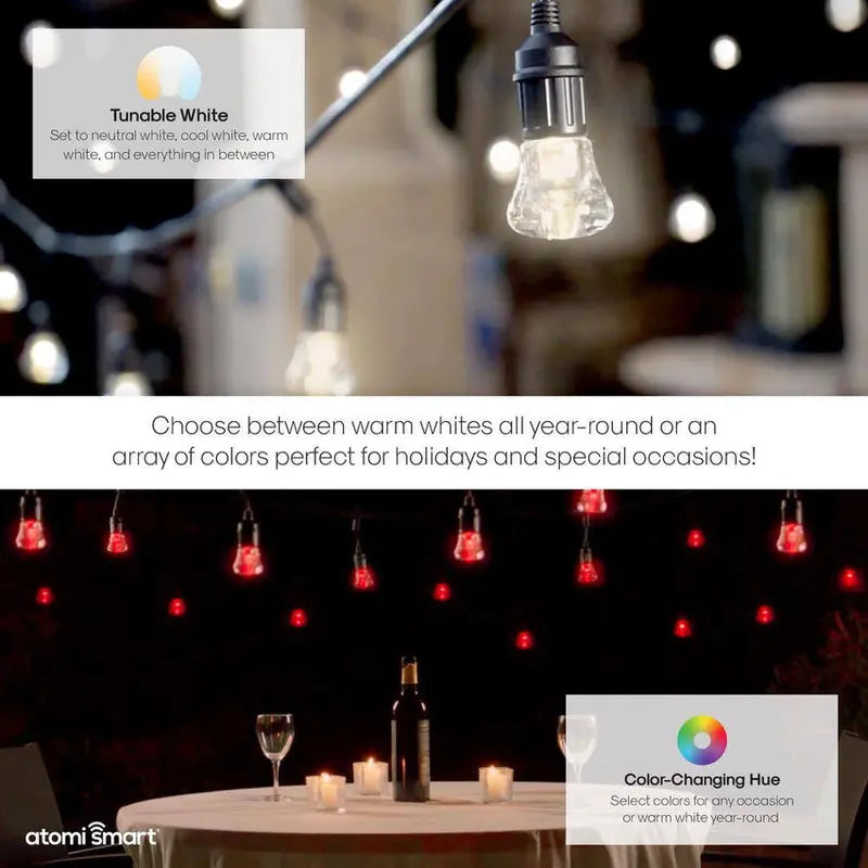 Atomi Smart WiFi Color String Lights, 24-Foot, 12 LED Bulbs - AT1326