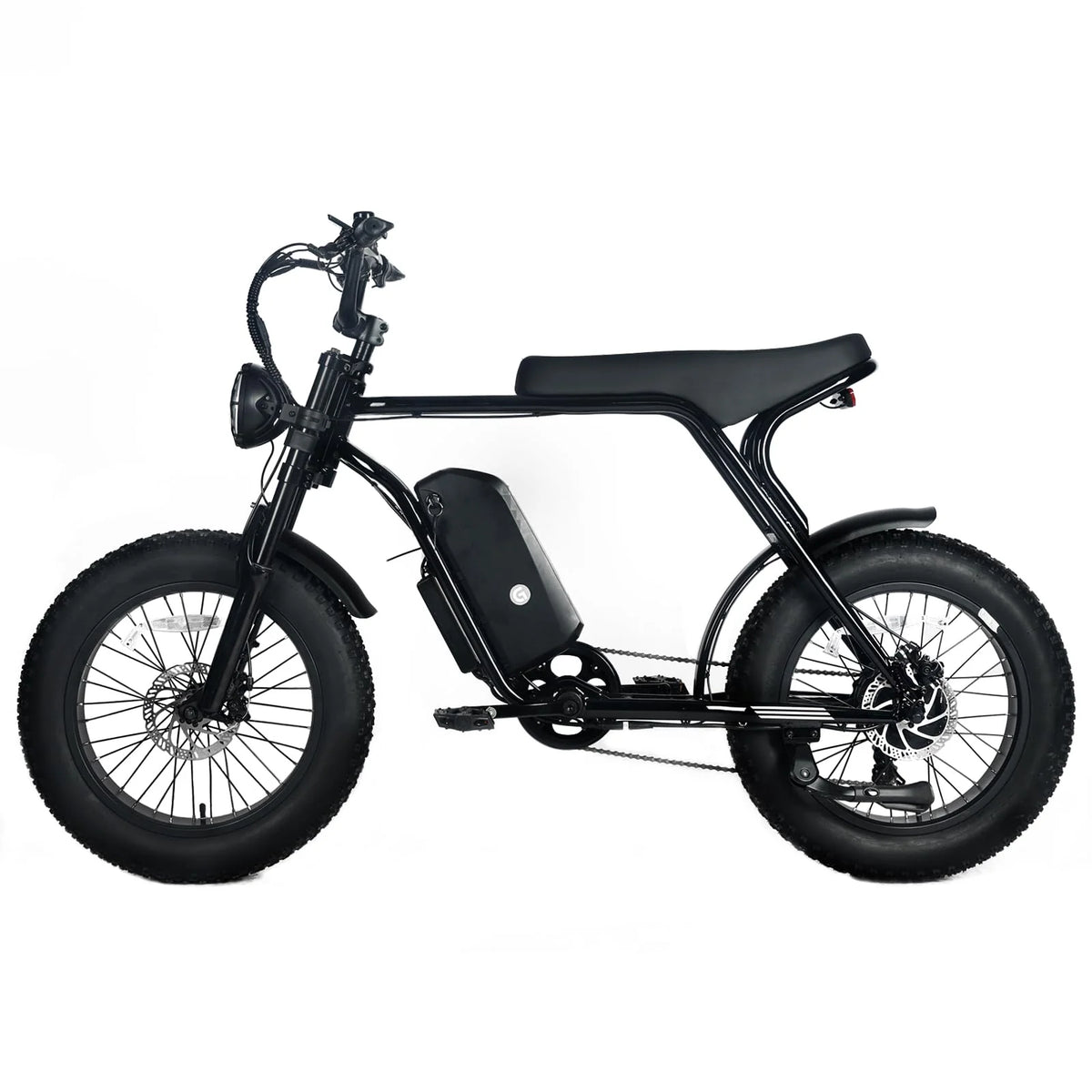 Electric Mountain Bike For Adults With 20 x 4.0 Fat Tires, 1000W Motor, 48V 20Ah Removable Battery, 45MPH Speed, 7-Speed