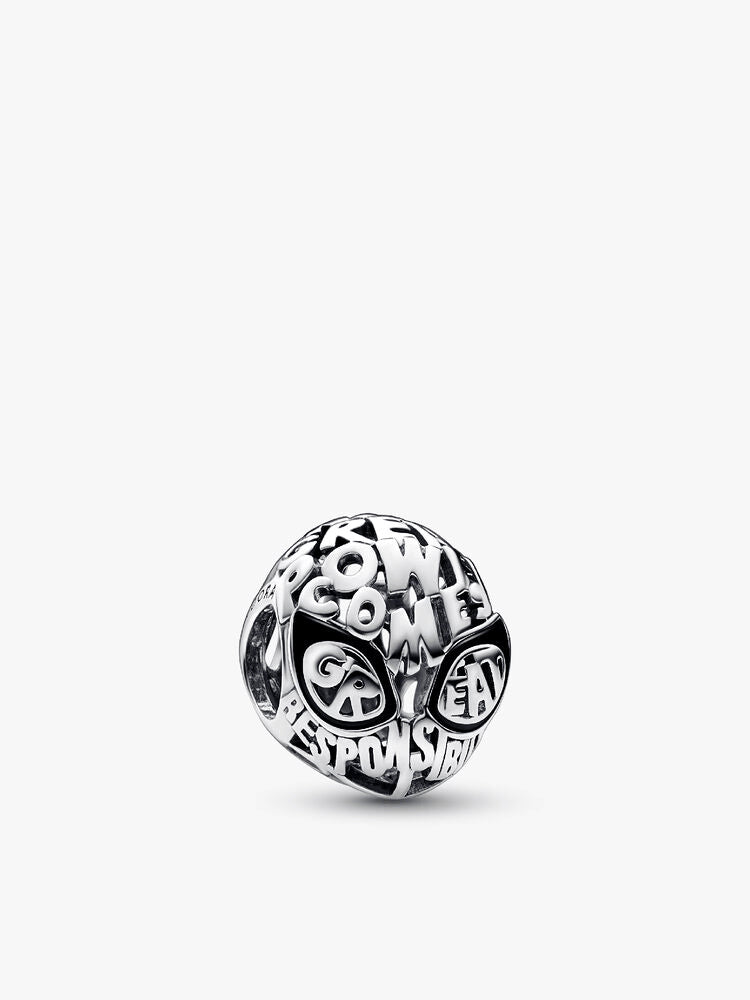 FINAL SALE - Marvel Spider-Man Mask Charm