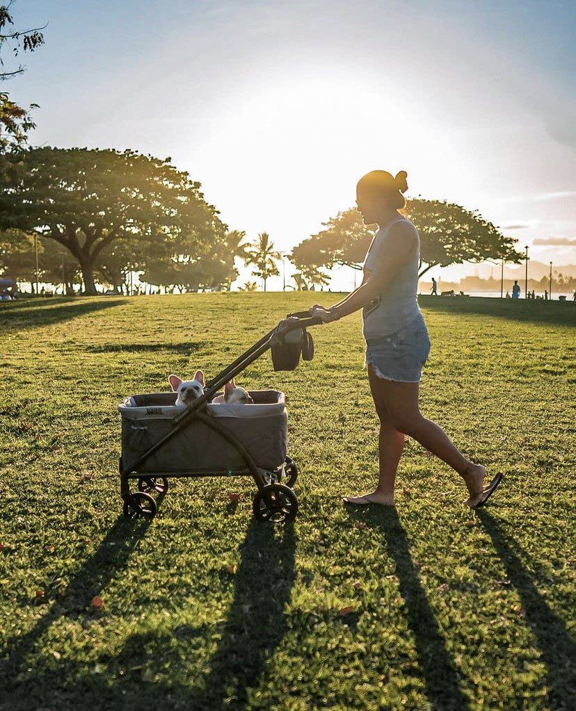 Expedition Stroller Wagon - Marine