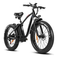 Electric Bike 48V/15Ah Lithium Battery - 750W