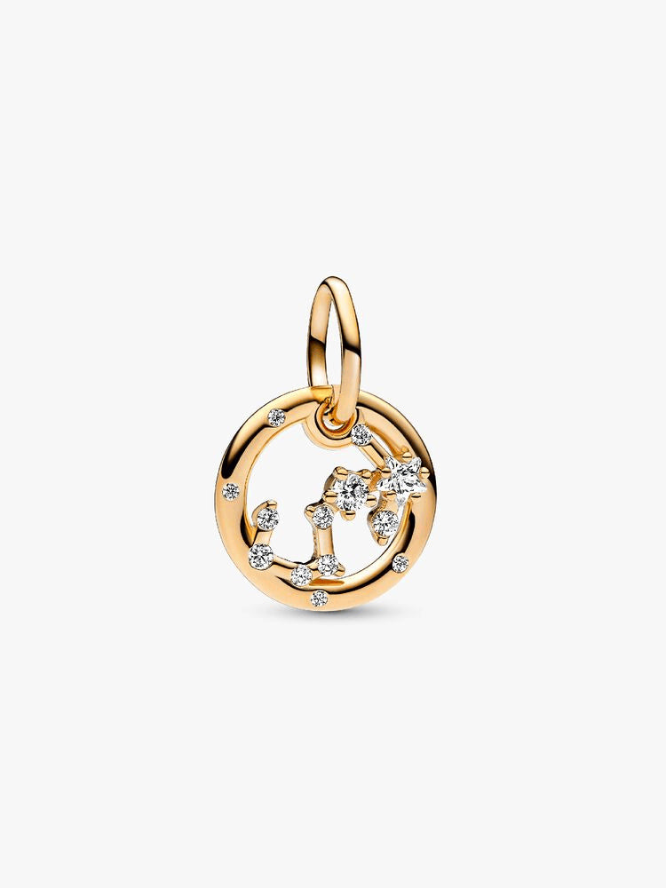 Scorpio Zodiac Dangle Charm Bracelet Set