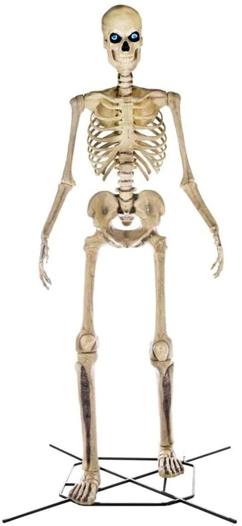 Home Accents 12 ft Giant-Sized Skeleton With LifeEyes - NO250058