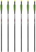 TenPoint Pro Elite 400 Carbon Crossbow Arrows with Alpha-Nocks, 20-Inch, 6-Pack