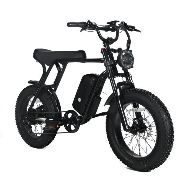 Electric Mountain Bike For Adults With 20 x 4.0 Fat Tires, 1000W Motor, 48V 20Ah Removable Battery, 45MPH Speed, 7-Speed