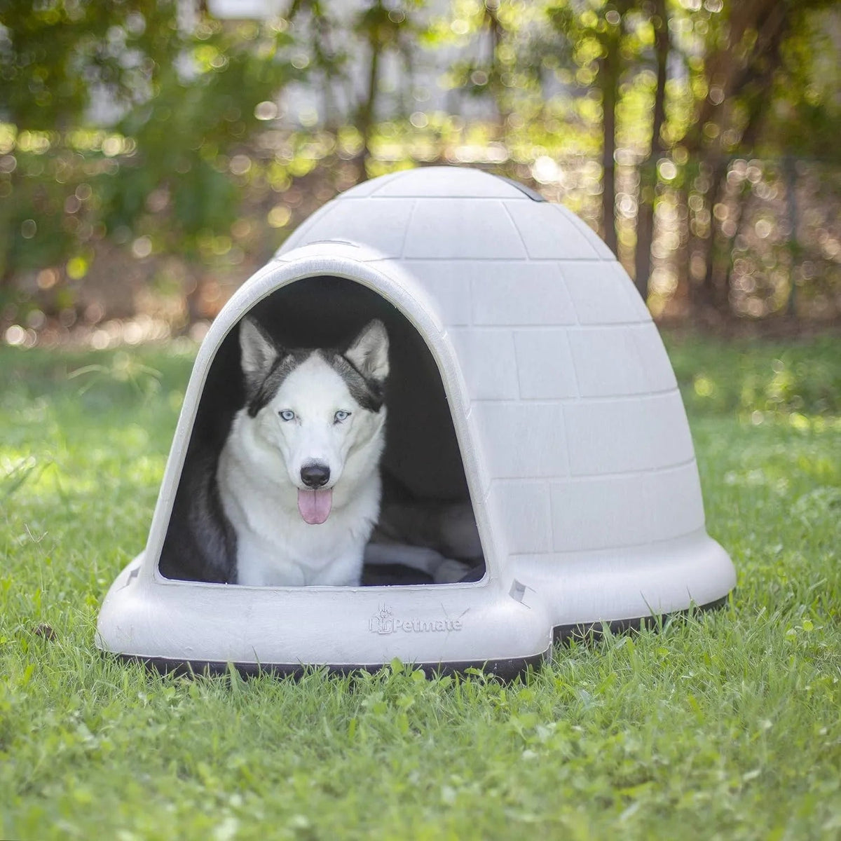 XL All-Weather Igloo Dog House for 90-125 Lb. Dogs