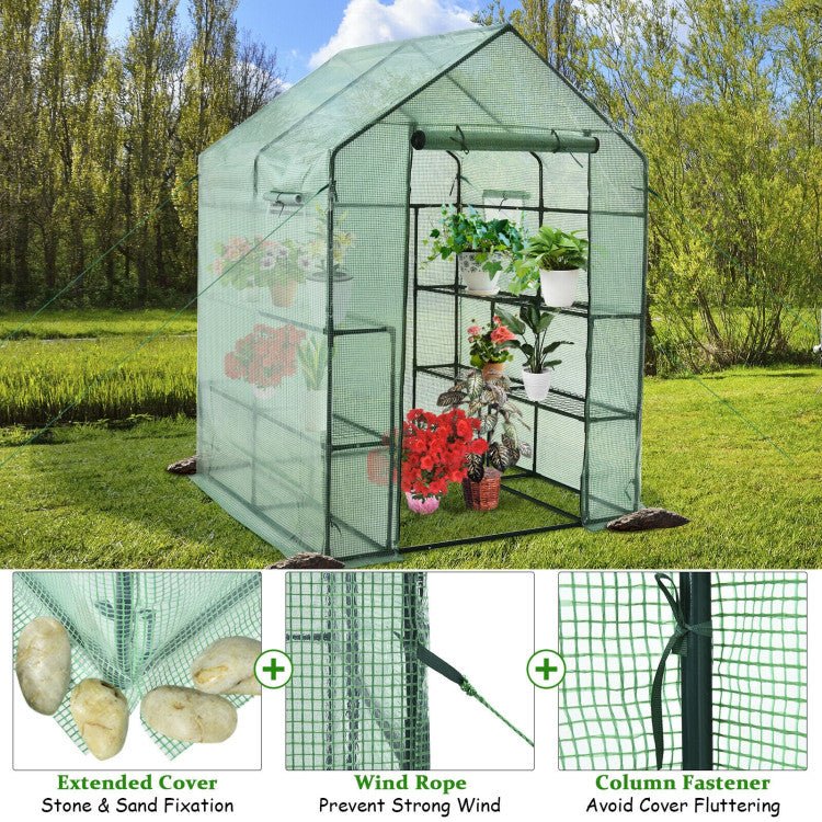 Walk-In Garden Greenhouse With Observation Windows, 56 in x 56 in x 77 in, 8 Shelves, Green