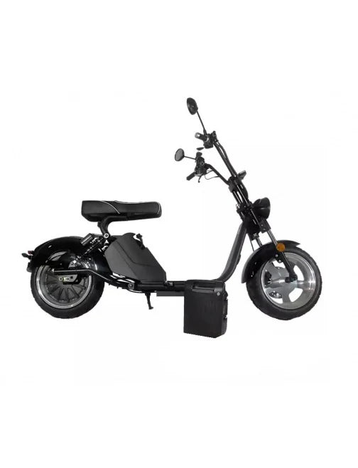 CITY COCO Electric Scooter 3000 Watts 60 Volts 2 Seats