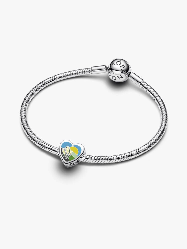 Iowa Heart Charm