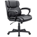 Mid-Back Ergonomic Swivel Office Chair - Black