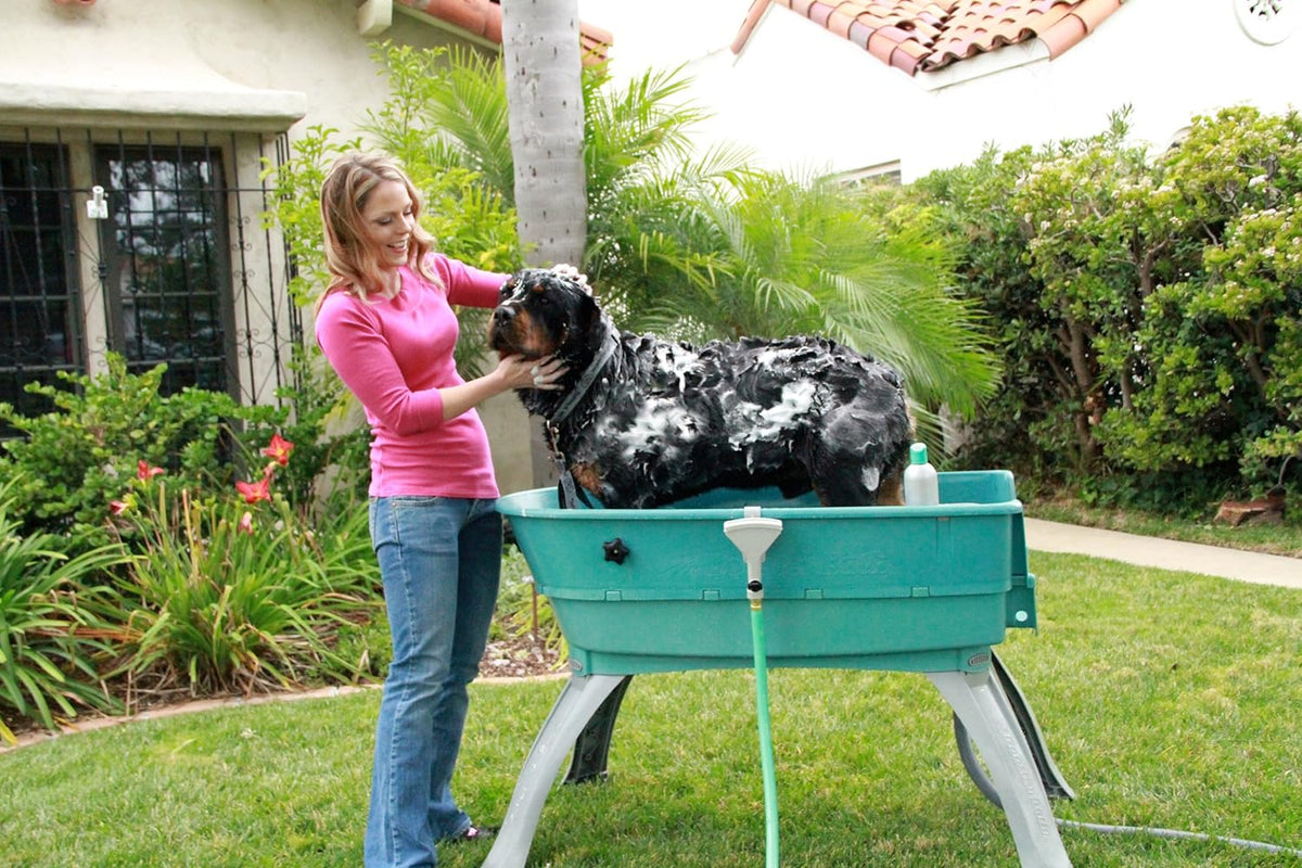 Booster Bath Large Elevated Pet Bathing Tub With Teal Steps Combo - 45 in x 21.25 in x 15 in