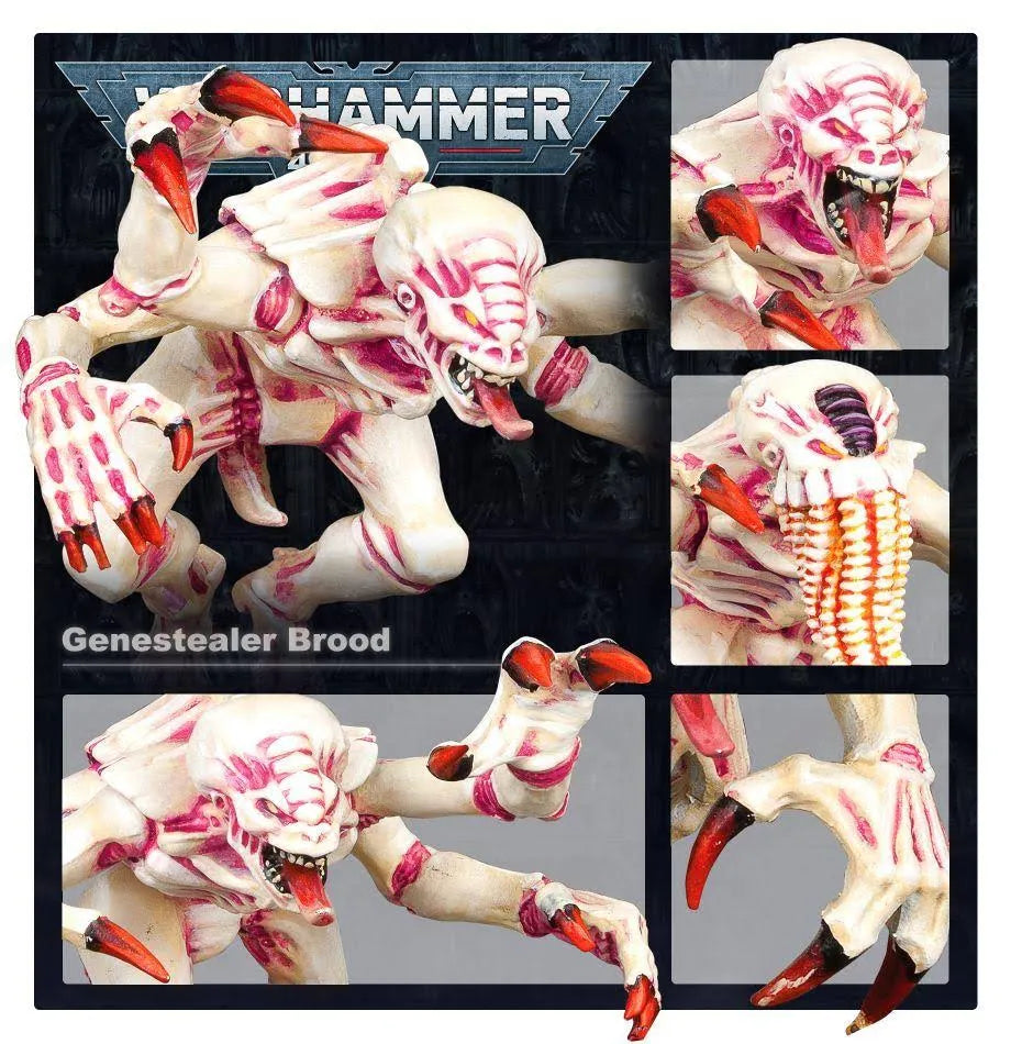 Warhammer 40K Miniature Battle Set - Tyranids Battleforce Brood Swarm