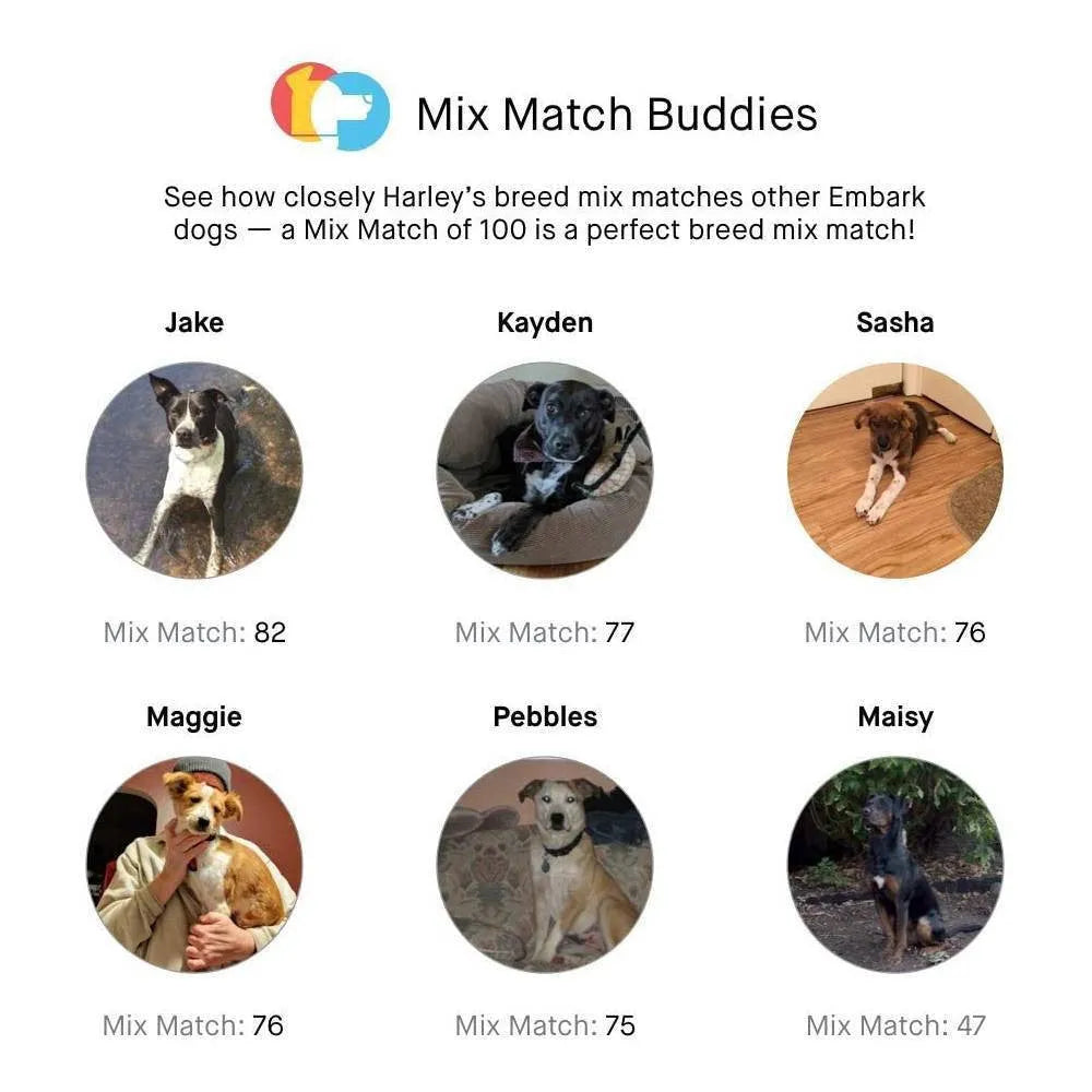 Embark Dog DNA Test Breed Identification Kit